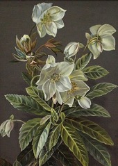 Lille blomsterbilled - u/signeret - olie på plade
20 x 28
emne nr:
68577 Lille blomsterbilled - u/signeret - olie på plade
20 x 28
emne nr:
68577
